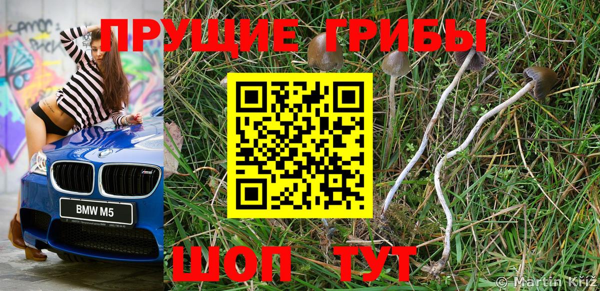 Можайск  Псилоцибиновые грибы MAGIC MUSHROOMS  Вход с VPN  Галлюциногенные грибы Psilocybe 